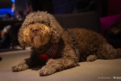 2026-01-14 Science Café; photo by Dariusz Piekut BUT