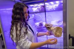 2026-01-14-Kinga-Koziak-Szkoła-doktorska-PB-fot-Dariusz-Piekut-PB