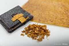 2025-12-18-Koło-naukowe-Rolka-fot-Dariusz-Piekut-PB