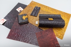 2025-12-18-Koło-naukowe-Rolka-fot-Dariusz-Piekut-PB